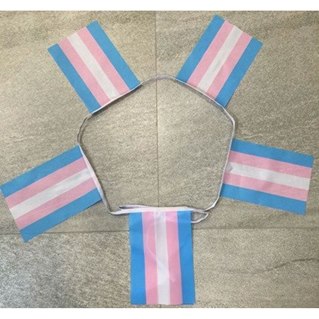Bunting, 15x23 cm, 20 transgender flags