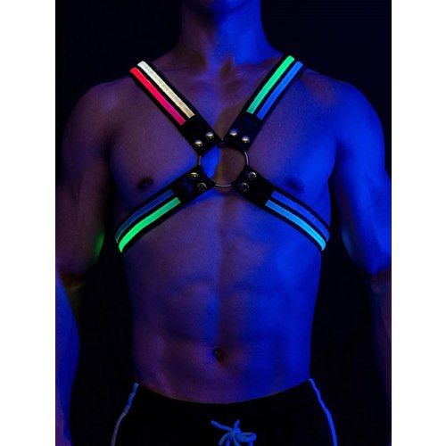 Harness LED, multi colour