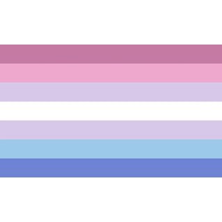 BiGender Pride Flag 90 x 150