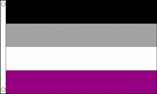 3m long with 10 Large Flags Asexual Ace Pride Polyester Flag Bunting 