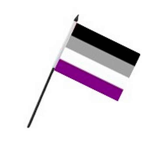 Asexual Flag On Stick Qx Shop