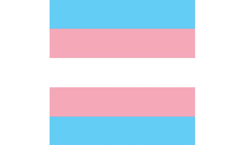 https://shop.qx.se/images/2.54859/bandana-trans-pride.jpeg