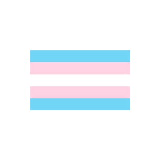 Transgender Pride-lippu
