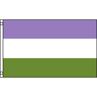 Gender Queer flaggan 90x150