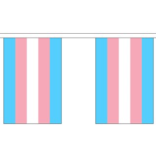 Lippunauha - 30 TransPride lippua