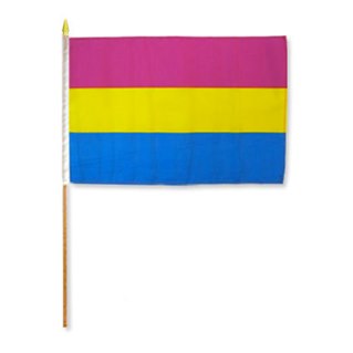 6 Pansexual Pride-flaggor på pinne