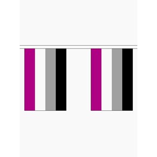 BUNTING - 10 SMALL ASEXUAL FLAGS