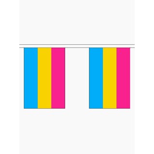 BUNTING - 10 SMALL PANSEXUAL PRIDE FLAGS
