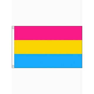 Pansexual Flag 60 x 90