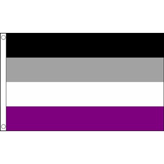 Asexual-lippu, 150 x 240