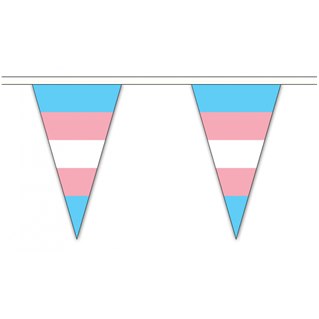 Transgender Triangle Bunting - 54 triangles