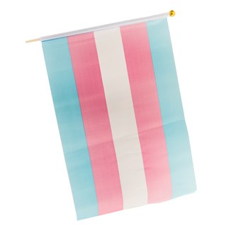 Transgender Pride flag on stick