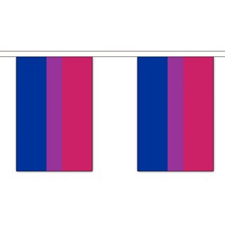 Bunting - 30 small Bi Pride flags