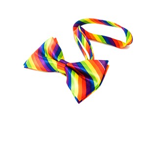 Rainbow bowtie