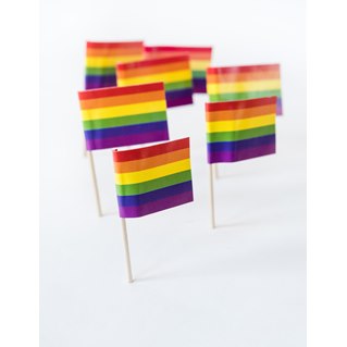 Rainbow Flag Toothpicks (100 box)