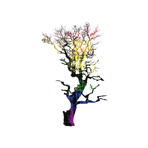Juliste - Tree Rainbow