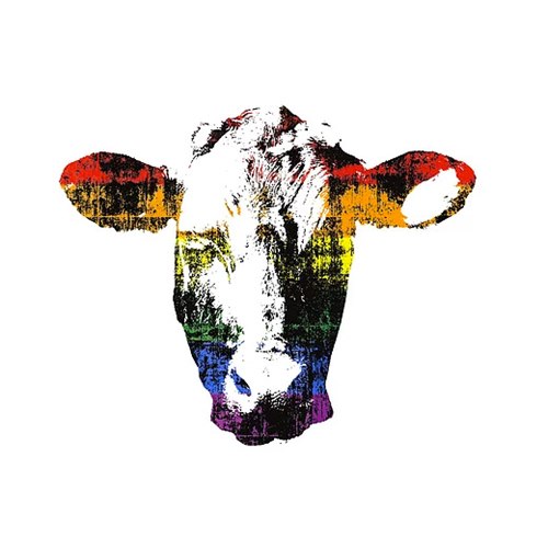 Poster - Cow Rainbow