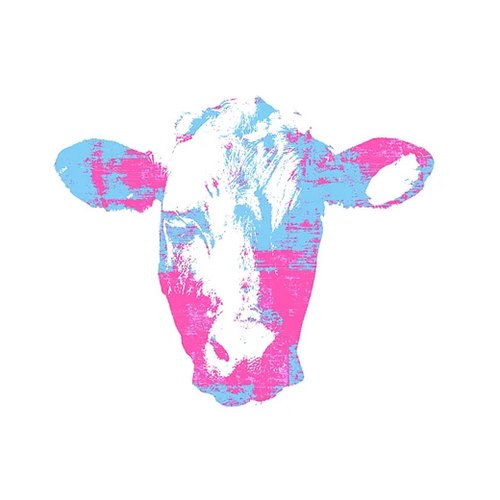 Juliste - Cow Trans