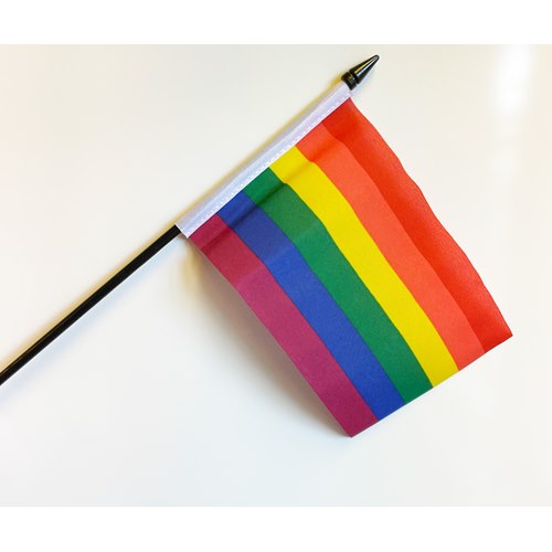 Rainbow flag on stick - small