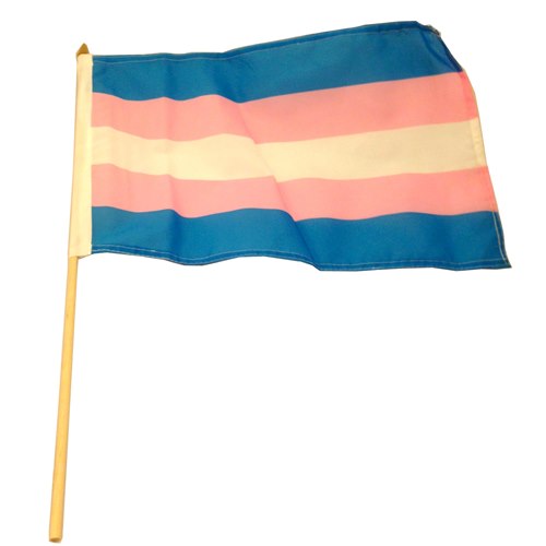 3 Transgender Pride flags on stick large