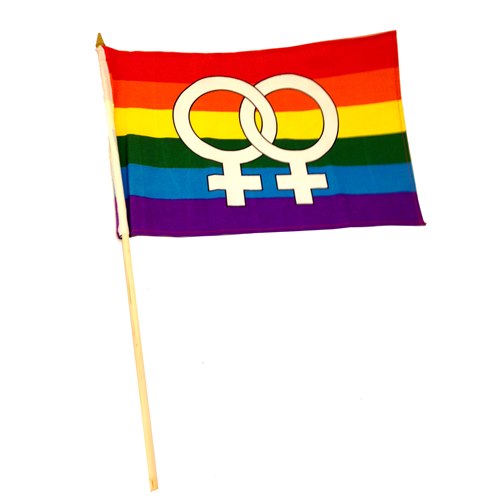 6 Rainbow and Venus Flag on stick