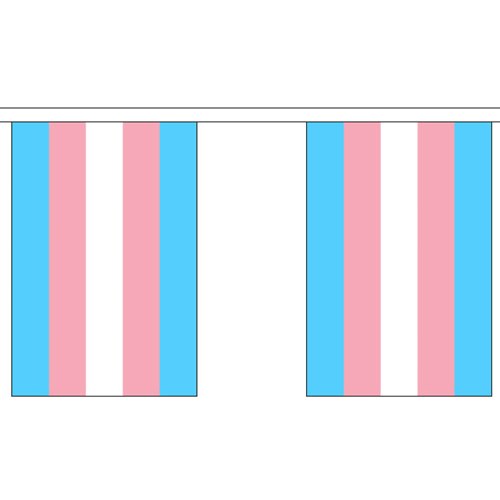 Transgender Pride Flag Colours Triangular Flag Bunting 10m with 24 Flags 