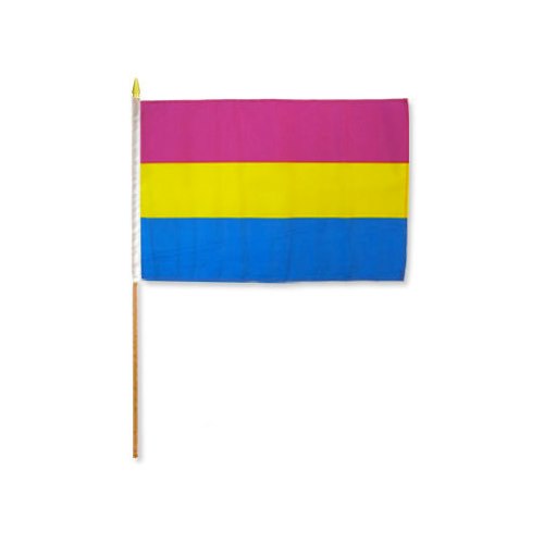 6 Panseksuaalien lippua kepillä