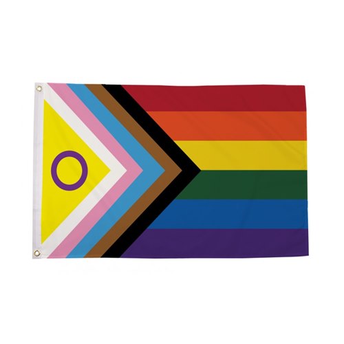 Intersex Progress Pride Flag 90 x 150