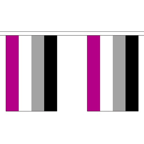 ASEXUAL PRIDE BUNTING - 30 FLAGS