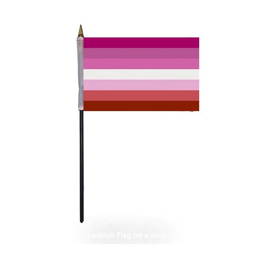 Small Lesbian Pride Flag on Stick