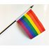 Rainbow flag on stick - small