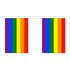 Rainbow Gay Pride Bunting - 10 flags