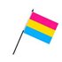 Liten Pansexual Flag på pinne