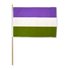 6 Gender Queer 30x45 cm Stick Flag