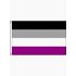 Asexual Pride Lippu 60 x 90