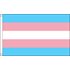 TransPride - Large flag 150x240