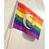 RAINBOW FLAG ON STICK WITH STAR AND CRESCENT