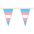 Transgender Triangle Bunting - 54 triangles