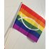 Rainbow Christ flag on stick