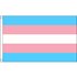 Transgender Pride Tryckt 60 x 90