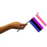 Small Gender Fluid flag on stick