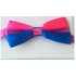 BiPride coloured Bow Tie