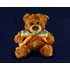 Teddy Bear med regnbågsrosett