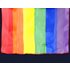 Rainbow Gay Pride Scarves