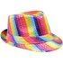 Fedora-hatt, Regnbågsfärgad glitter