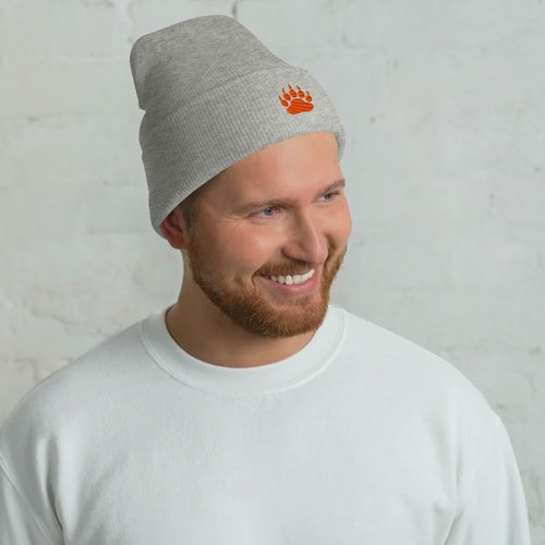 Bear hat, knitted gray