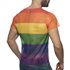 Mesh Rainbow T-Shirt