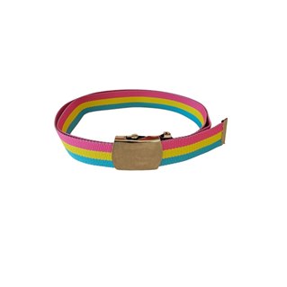 Belt Pansexual colours