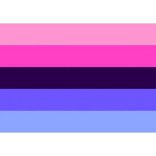 Omnisexual Pride Flag, 90 x 150