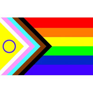 Inclusive Progress Pride Flag, 60 x 90